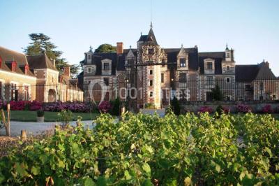 Miniature Location salle Vouvray (Indre-et-Loire) - Château de Jallanges #6 Façade d'un château illuminée par des lumières colorées rose et violette lors d'un événement nocturne.