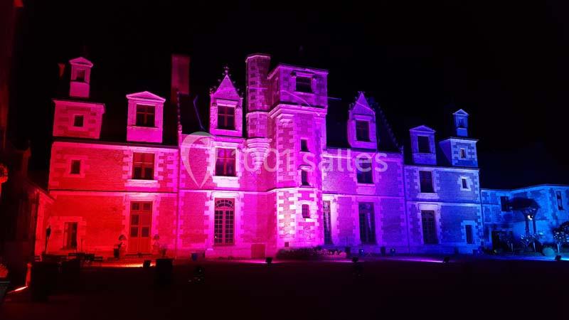 Façade d'un château illuminée par des lumières colorées rose et violette lors d'un événement nocturne.