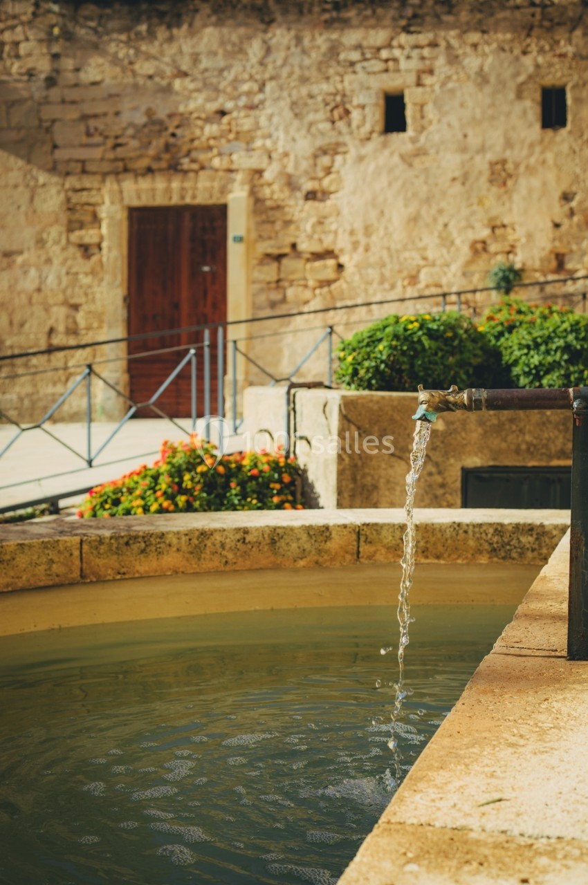 Fontaine en pierre avec un robinet coulant dans un bassin, entourée de fleurs et d'un mur en pierre.