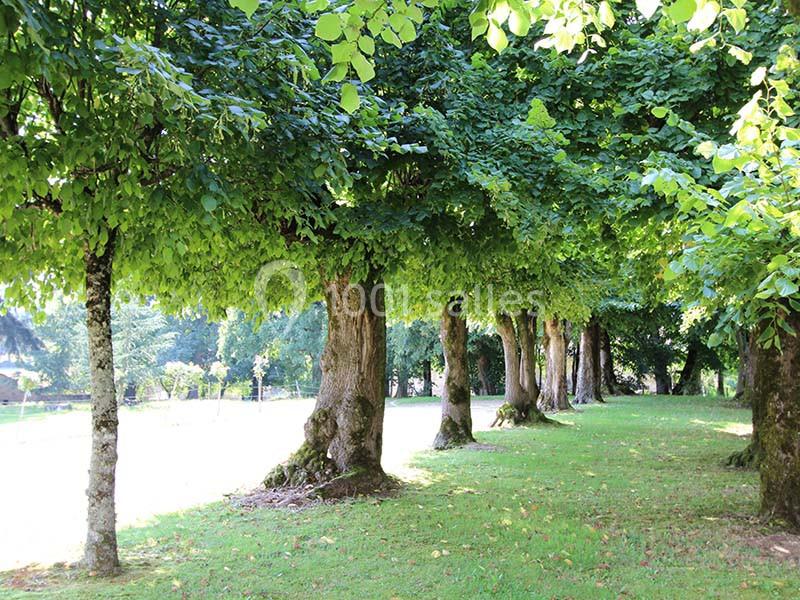 Location salle Veyrac (Haute-Vienne) - Château De La Cosse #15