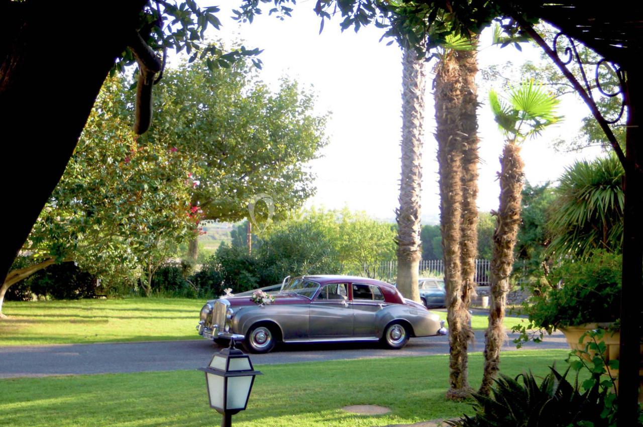 Voiture ancienne argentée garée sur une allée bordée de pelouses, avec des palmiers et des arbres en arrière-plan.