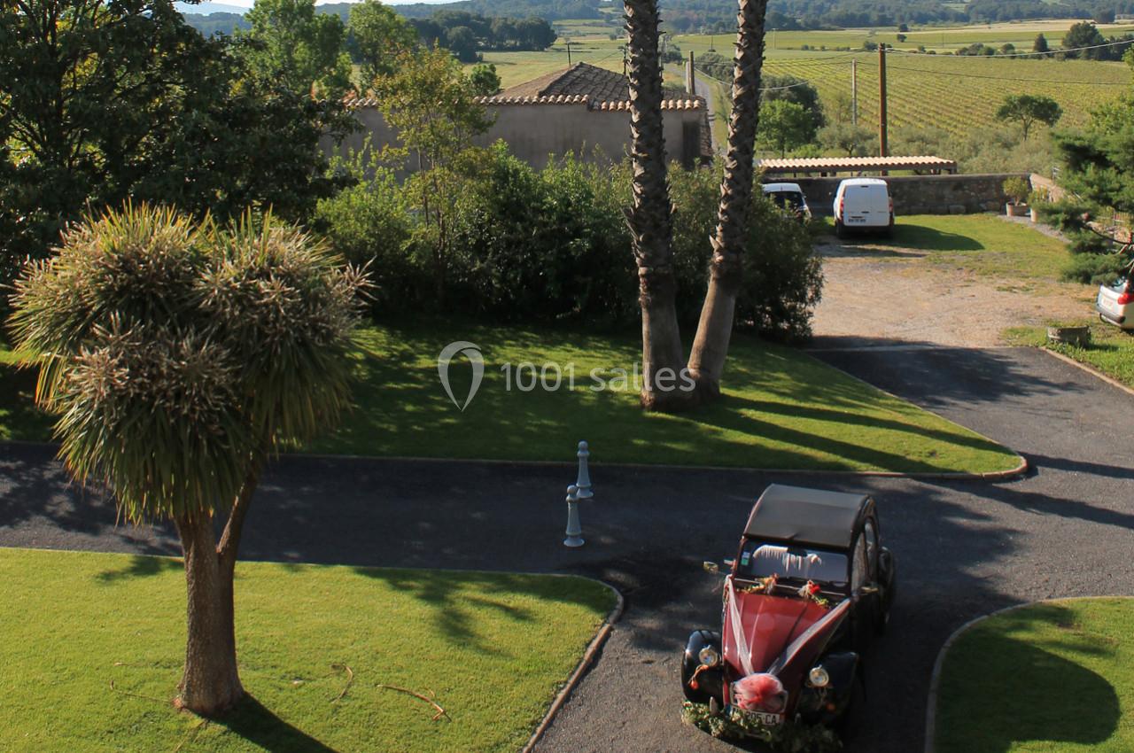 Vue d'une allée bordée de pelouses avec une voiture ancienne décorée de fleurs, entourée de végétation et de vignes.