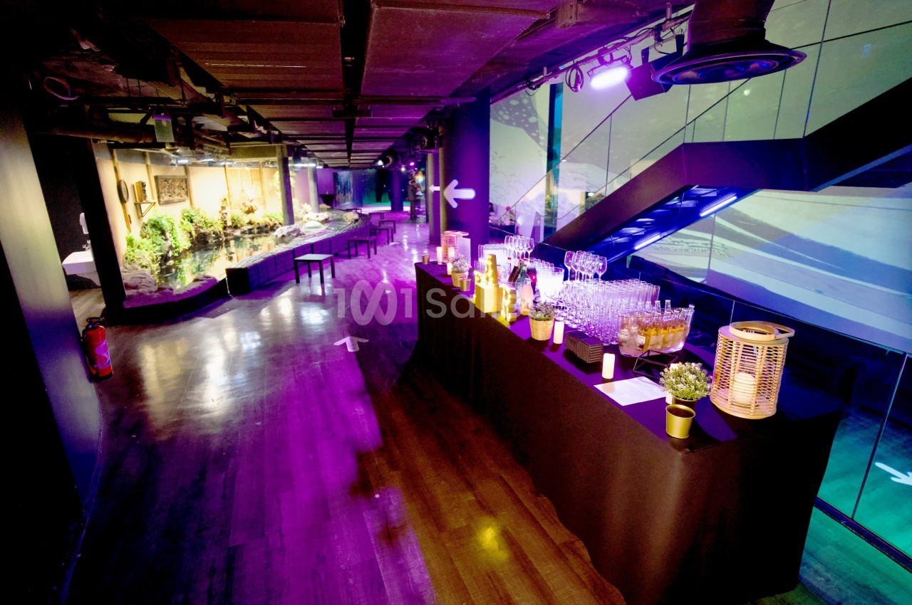 Salle moderne éclairée par des lumières colorées, avec un buffet de boissons et des tables disposées en arrière-plan.
