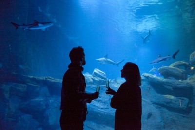 Les Salons de l’Aquarium de Paris - photo 5