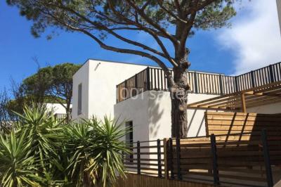 Location salle Le Grau-du-Roi (Gard) - Casino Flamingo #23