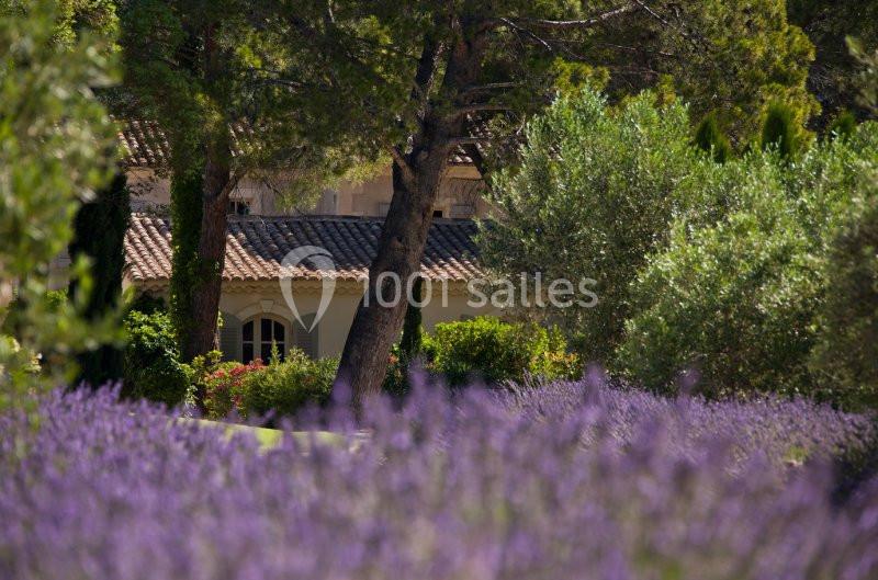 Hôtel Benvengudo - galerie - photo 17