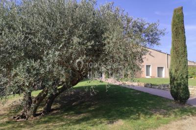 La Garrigue - photo 2