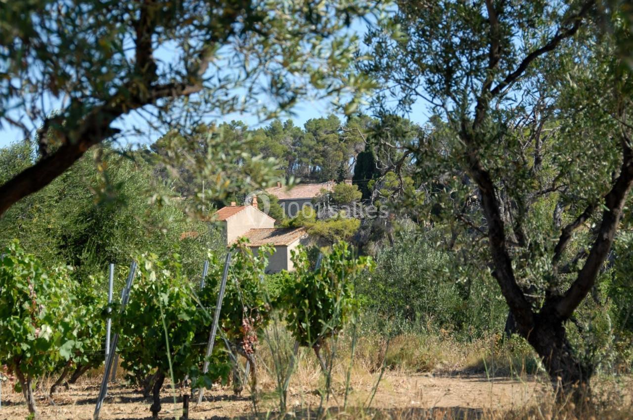 Location salle Nissan-lez-Enserune (Hérault) - La Garrigue #1