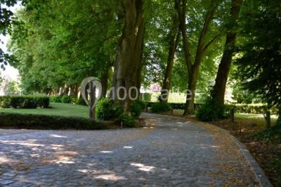Miniature Location salle Brunehaut (Hainaut) - Le Clos de la Conciergerie #13 Table élégamment dressée avec nappes blanches, vaisselle raffinée, bougies allumées et décoration florale.
