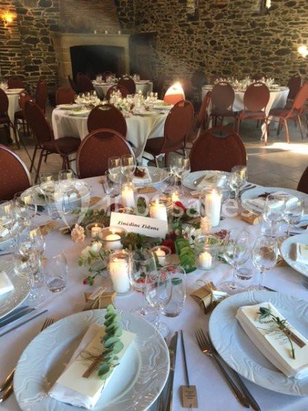 Location salle Saint-Rémy-en-Mauges (Maine-et-Loire) - Domaine Du Moulin Neuf #6