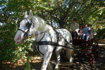 Miniature Location salle Clouzeaux (Vendée) - Domaine De La Gautronnière #4 Location salle Clouzeaux (Vendée) - Domaine De La Gautronnière #23