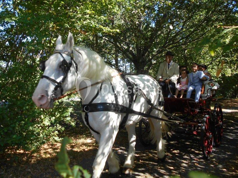 Location salle Clouzeaux (Vendée) - Domaine De La Gautronnière #4