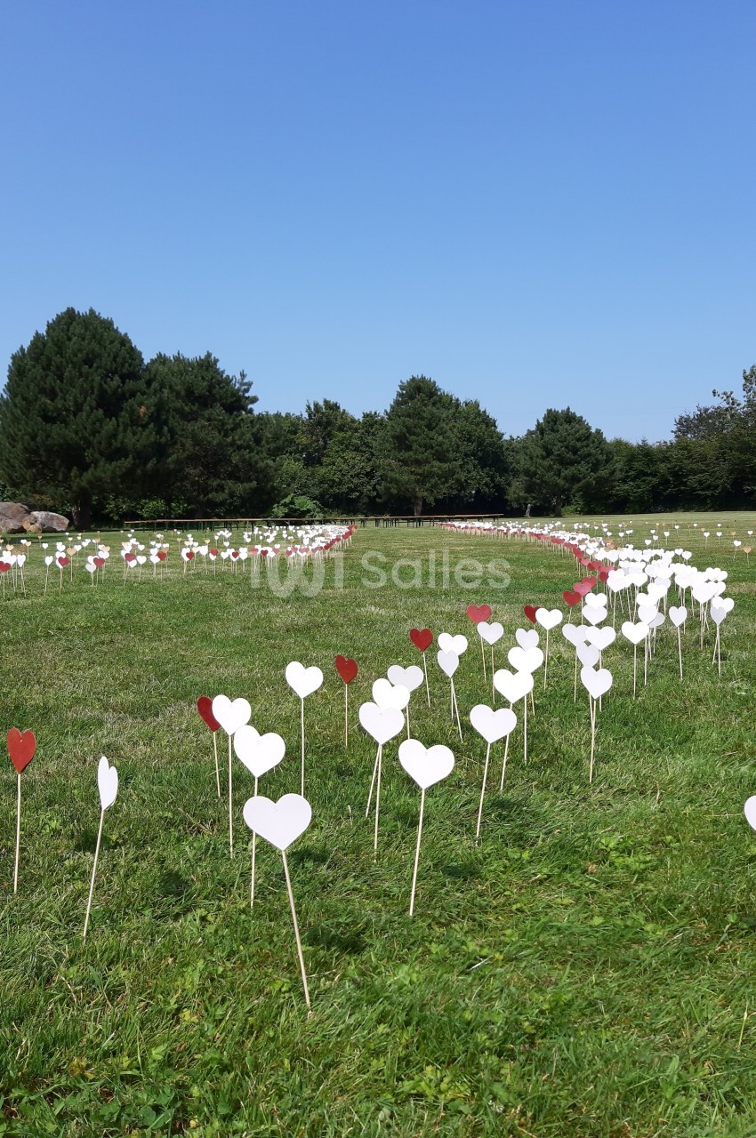 Cœurs blancs et rouges en papier plantés sur une pelouse, formant un chemin sinueux sous un ciel dégagé.