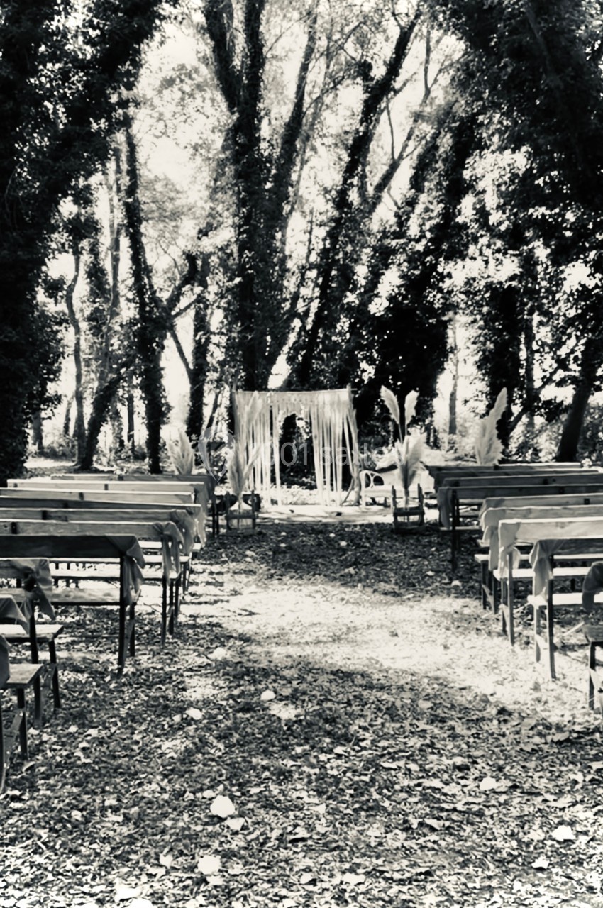 Allée bordée de bancs en bois menant à une arche décorée, située dans une clairière ombragée par des arbres.