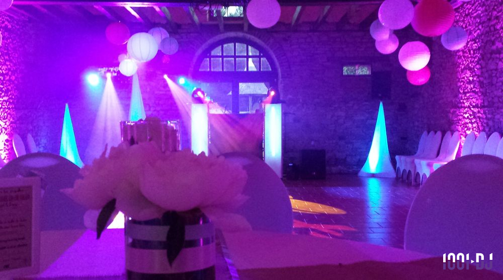 FLY MUSIC Animation DJ Thierry - galerie - photo 3