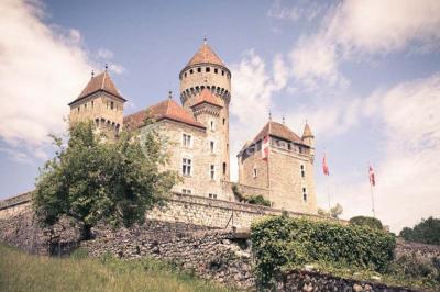 Château De Montrottier - photo 4