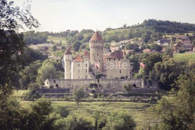 Château De Montrottier - photo 3