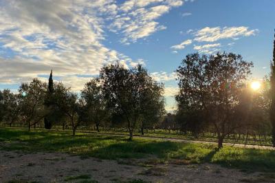 Location salle Saint-Christol (Hérault) - Château des Hôspitaliers #22