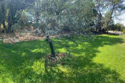 Location salle Saint-Christol (Hérault) - Château des Hôspitaliers #22