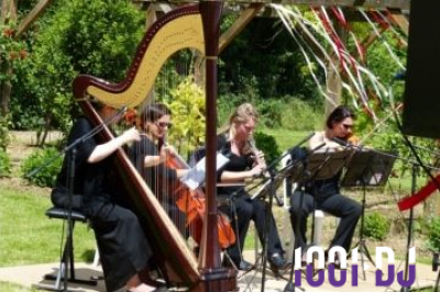 Miniature Cérémonie en plein air Une violoncelliste joue lors d'une cérémonie dans une église, entourée d'invités debout et de mariés à l'arrière-plan.