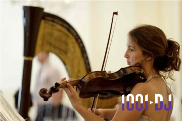 Miniature Violon Une violoncelliste joue lors d'une cérémonie dans une église, entourée d'invités debout et de mariés à l'arrière-plan.