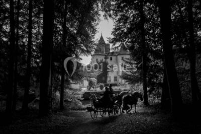 Location salle Saint-Dier-d'Auvergne (Puy-de-Dôme) - Château Des Martinanches #24