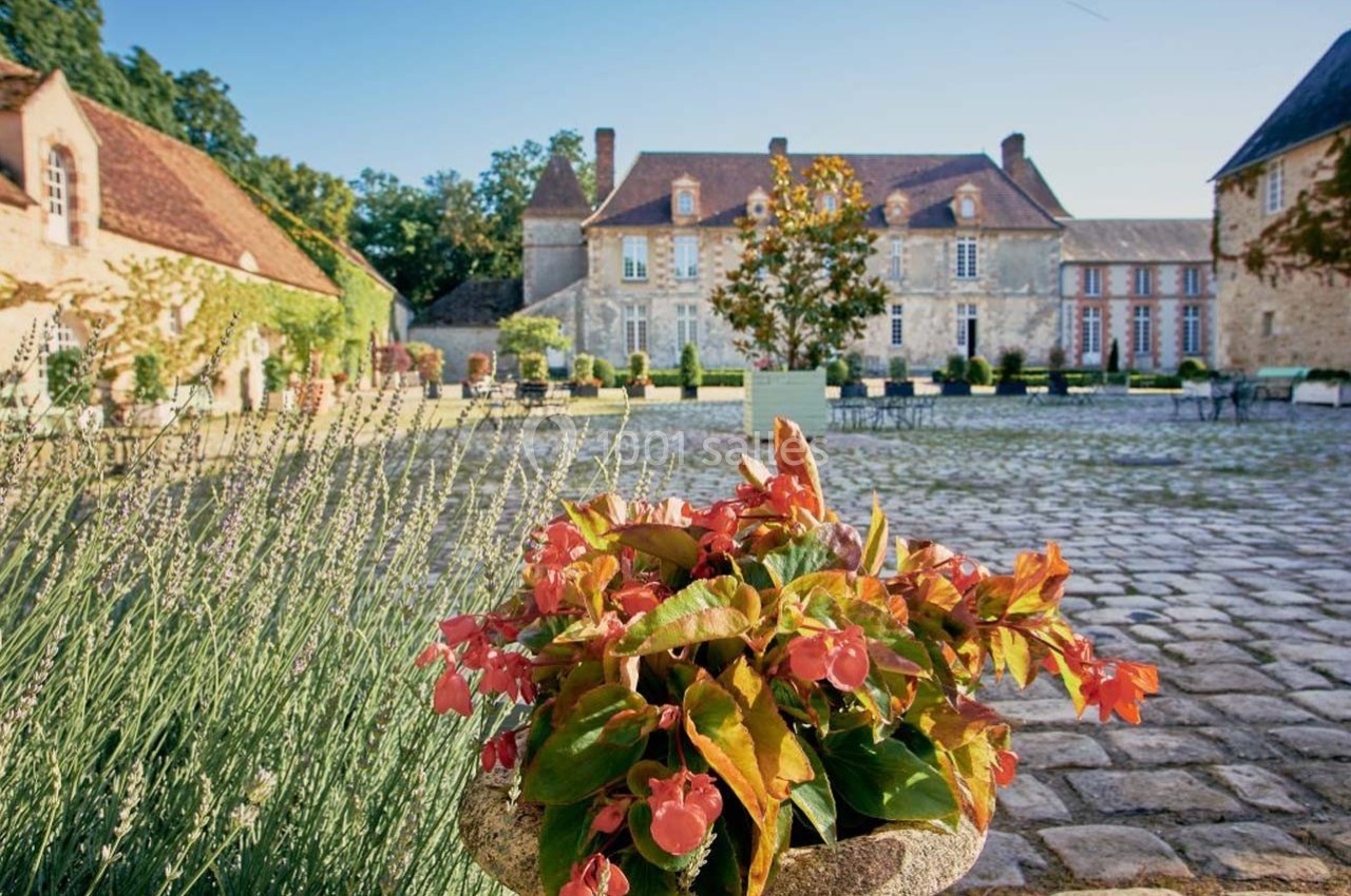 Pot de fleurs colorées au premier plan sur une cour pavée, avec un bâtiment ancien en arrière-plan.