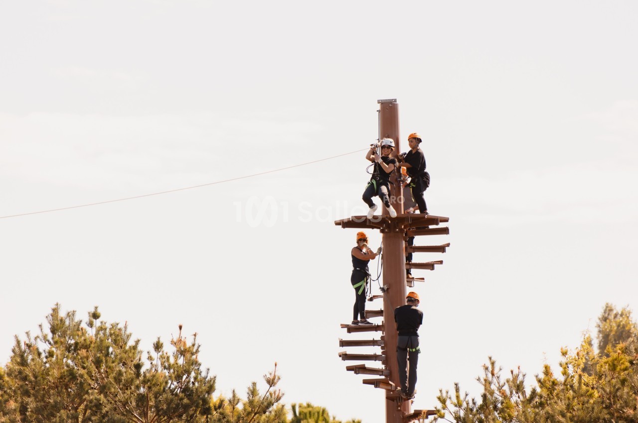 Des personnes équipées de harnais escaladent une structure en bois dans un parcours d'accrobranche en plein air.