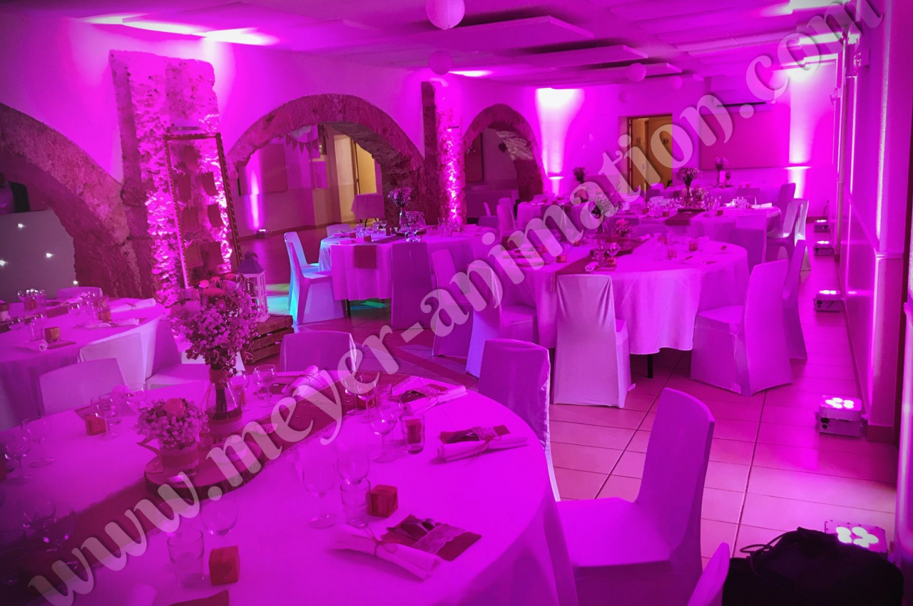 Meyer Animation - galerie - photo 3