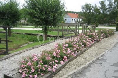 Miniature Location salle Court-Saint-Étienne (Brabant wallon) - Ferme de Beaurieux #7 Charpente en bois apparente d'un bâtiment ancien avec des murs en briques et un éclairage intérieur chaleureux.
