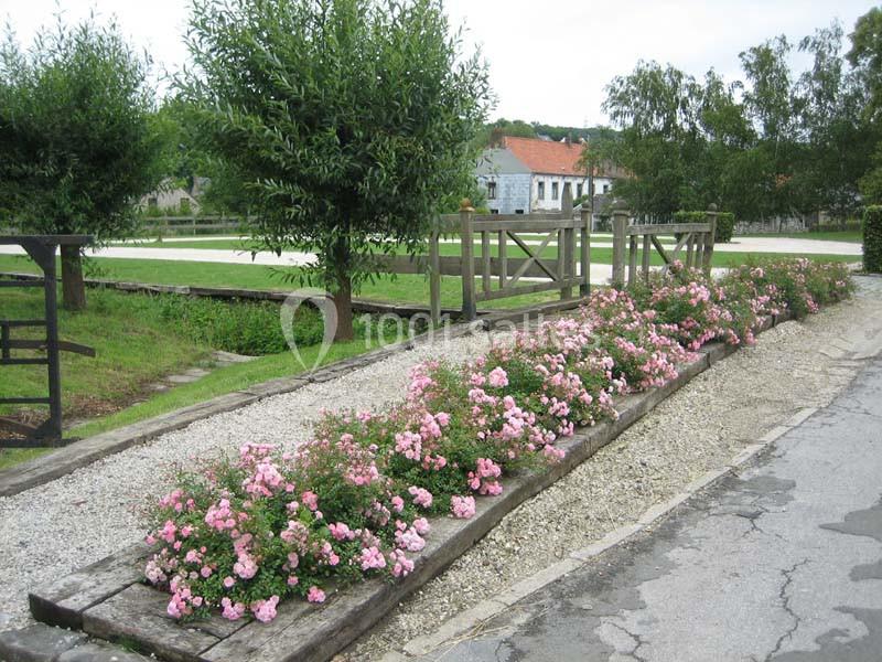 Location salle Court-Saint-Étienne (Brabant wallon) - Ferme de Beaurieux #7 Allée bordée de rosiers roses en fleurs, entourée de pelouses, arbres et bâtiments en arrière-plan.