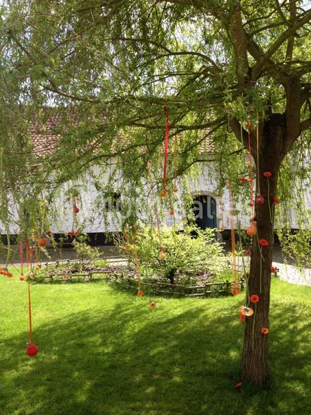 Location salle Court-Saint-Étienne (Brabant wallon) - Ferme de Beaurieux #17 Arbre décoré de rubans rouges et d'objets suspendus dans un jardin verdoyant devant une maison blanche.