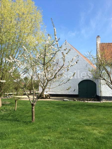 Location salle Court-Saint-Étienne (Brabant wallon) - Ferme de Beaurieux #19 Arbre en fleurs devant un bâtiment blanc avec un toit en tuiles rouges, entouré d'herbe et d'arbres.