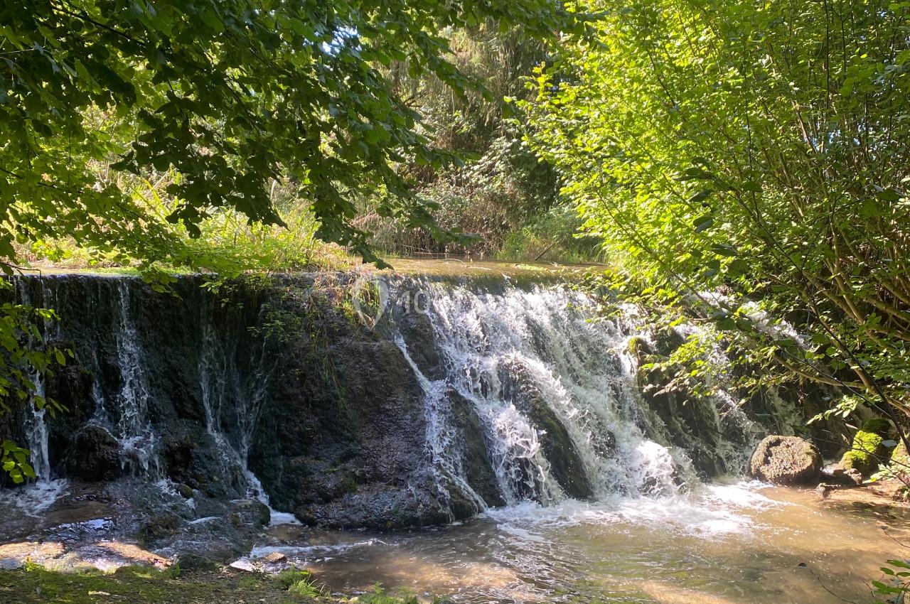 Location salle Hodent (Val-d'Oise) - Le Domaine des Buis #10