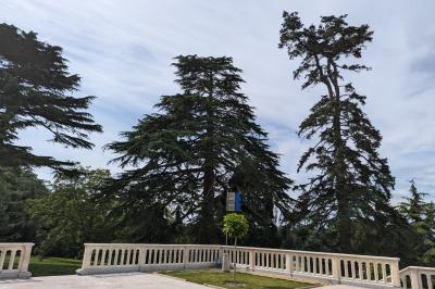 Miniature Location salle Saint-Saturnin-sur-Loire (Maine-et-Loire) - Château d'Arts #18 Façade d'un château avec terrasse en pierre, pelouses aménagées et arbres imposants sous un ciel partiellement nuageux.