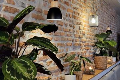 Miniature Location salle Gragnague (Haute-Garonne) - La Gragnaguette #5 Location salle Gragnague (Haute-Garonne) - La Gragnaguette #8