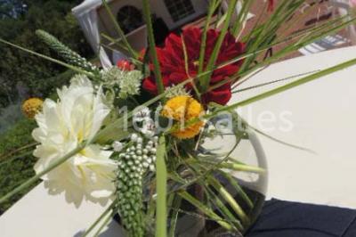 Miniature Location salle Maissemy (Aisne) - Domaine de Vadancourt #15 Location salle Maissemy (Aisne) - Domaine de Vadancourt #28