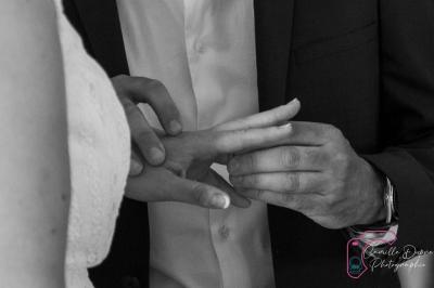 Miniature Cam's Animation #4 Photo Cam's Animation #23