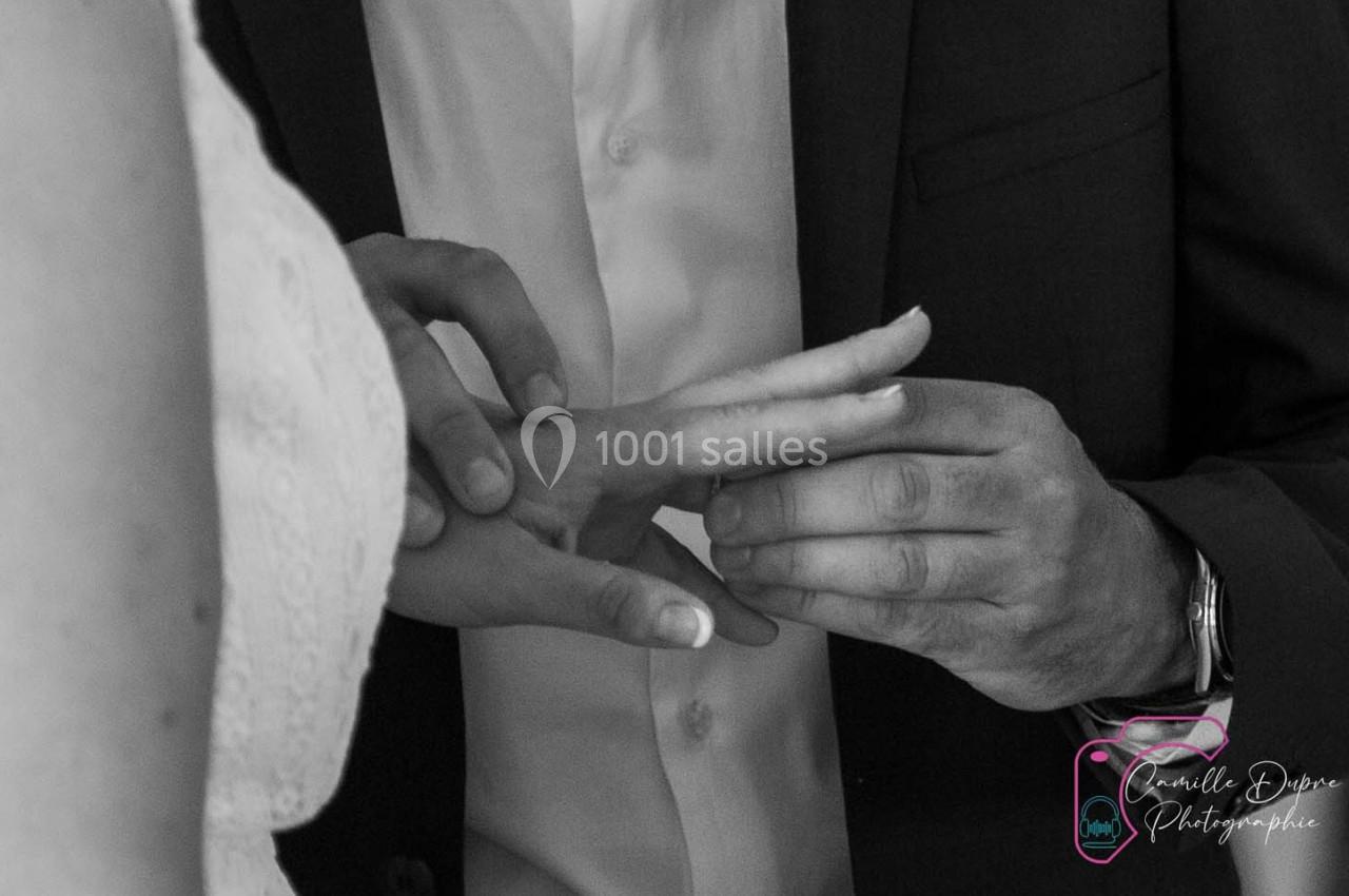 Photo Cam's Animation  #4