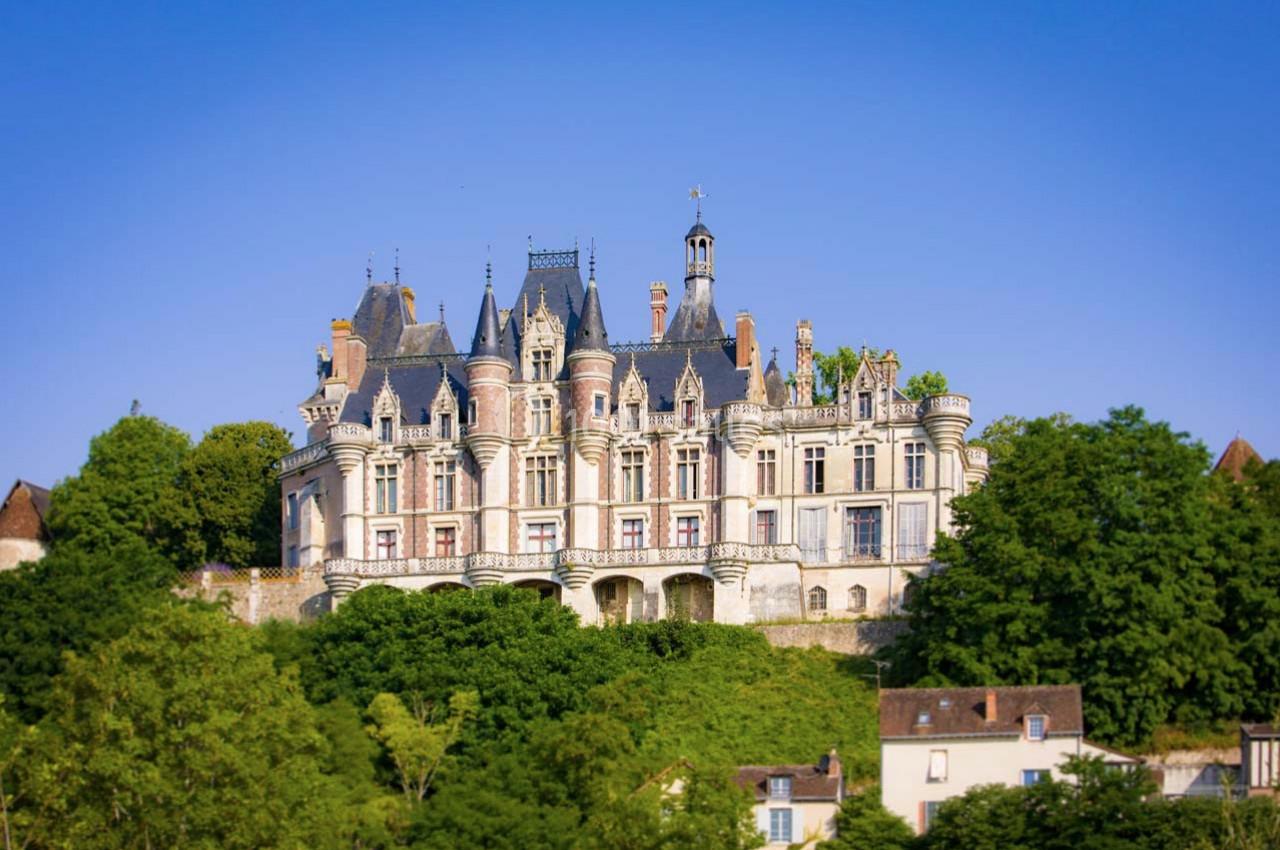 Château de Montigny le Gannelon - galerie - photo 12