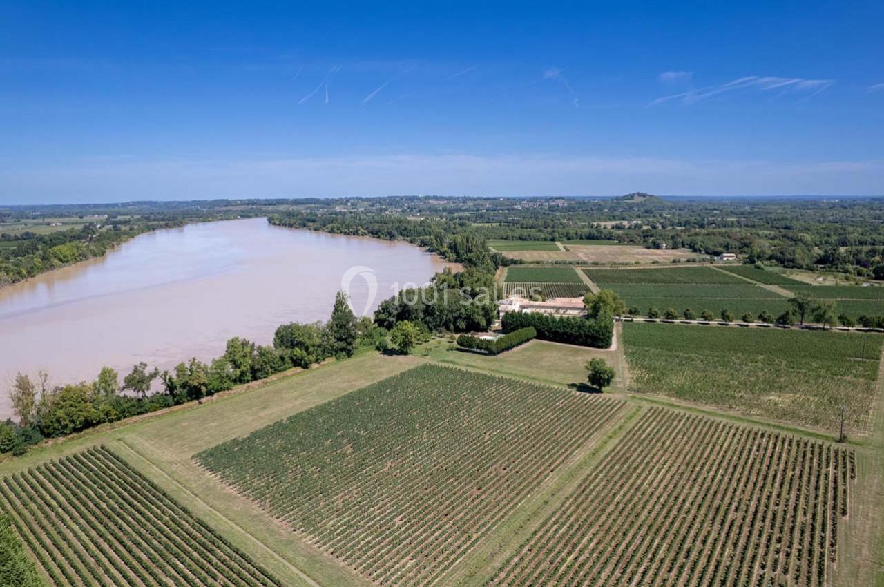 Vue aérienne de vignobles bordant une rivière sous un ciel dégagé, avec un paysage rural en arrière-plan.