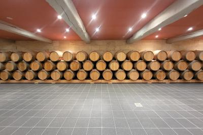 Miniature Location salle Arveyres (Gironde) - Château Larteau #22 Façade d'une grande maison en pierre claire avec volets bleus, entourée d'un jardin et d'une allée gravillonnée.