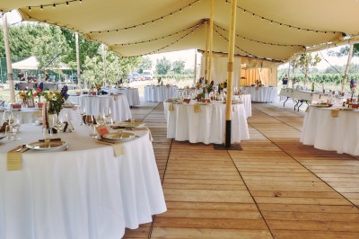 Miniature Location salle Arveyres (Gironde) - Château Larteau #8 Façade d'une grande maison en pierre claire avec volets bleus, entourée d'un jardin et d'une allée gravillonnée.