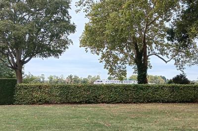 Vue d'un jardin verdoyant avec un arbre central, un escalier en pierre et un lac au coucher du soleil.