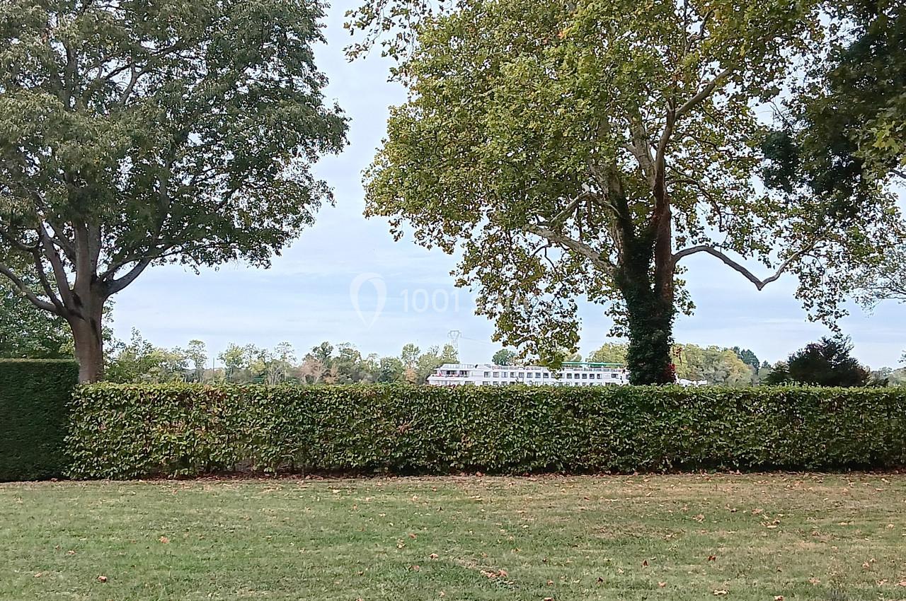 Vue d'un jardin avec une pelouse, des arbres et une haie, et un bâtiment blanc visible en arrière-plan.