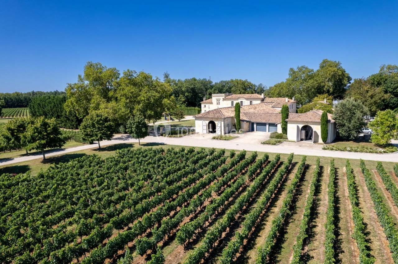 Vue aérienne d'une maison en pierre avec toits en tuiles, entourée de vignes et d'arbres sous un ciel bleu.