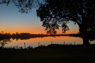 Vue d'un jardin verdoyant avec un arbre central, un escalier en pierre et un lac au coucher du soleil.