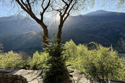 Château en pierre entouré d'arbres et de pelouses bien entretenues, avec un drapeau au sommet de la tour.
