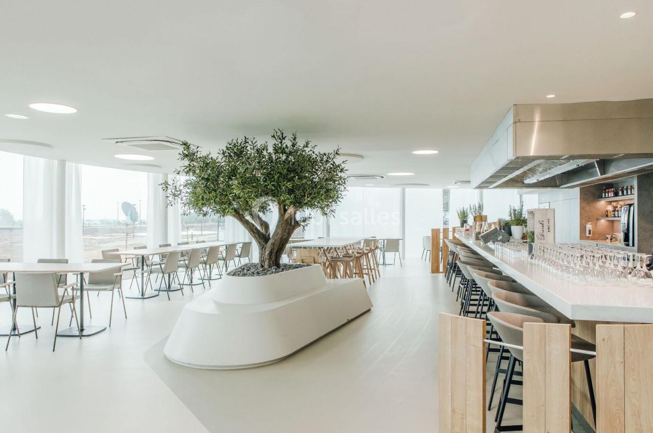 Salle lumineuse avec un grand olivier central, des tables et un comptoir de bar moderne en arrière-plan.