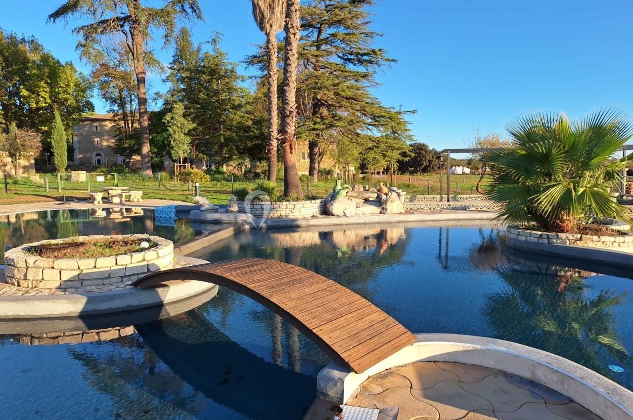 Bassin extérieur avec passerelle en bois, entouré de végétation, statues et arbres sous un ciel dégagé.